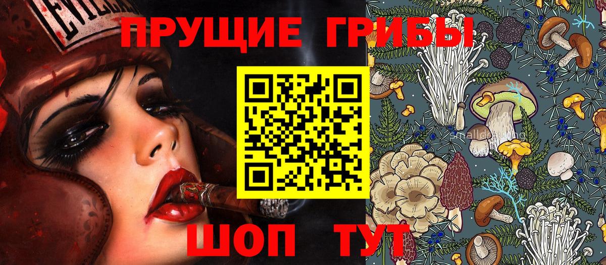 Псилоцибиновые грибы Psilocybe Волжск