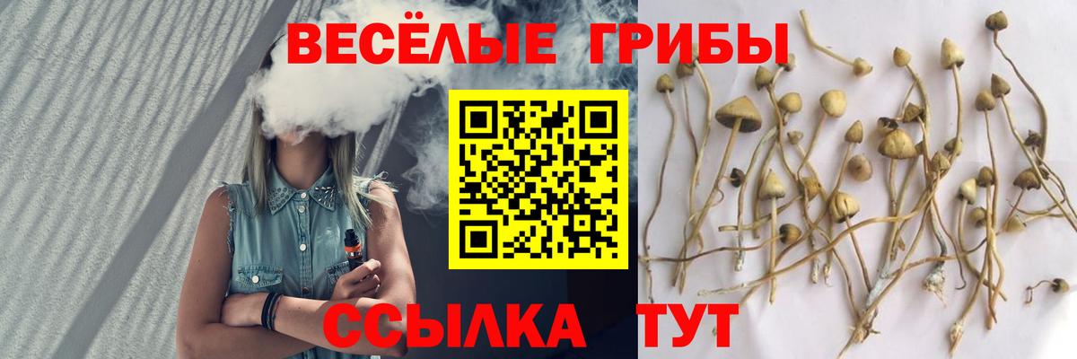 Галлюциногенные грибы прущие грибы  Галлюциногенные грибы Magic Shrooms  Вход с VPN  Волжск 
